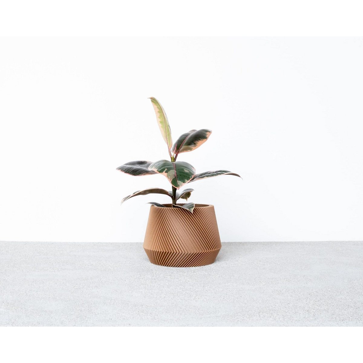 Bloempot Puu
