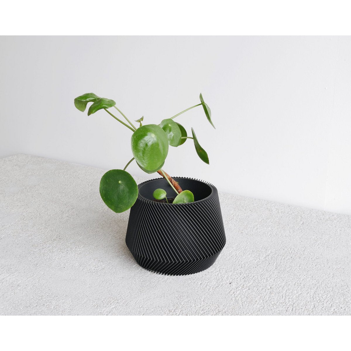 Bloempot Puu