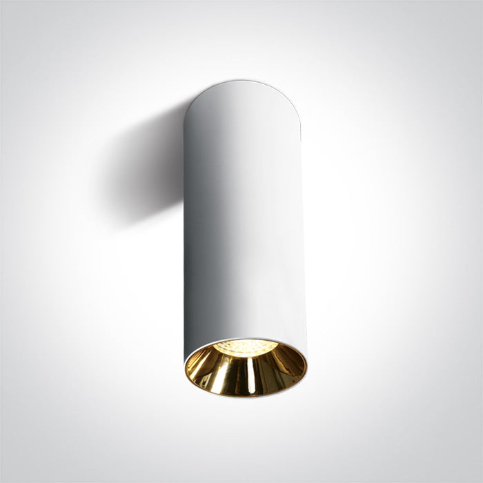 Zenith Cylindrical 250 Plafondlamp